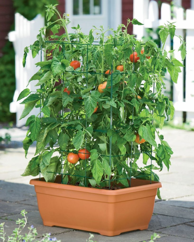 Plastic Self-Watering Planters