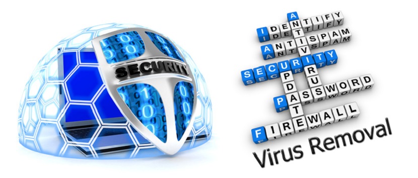 Virus Removal Service