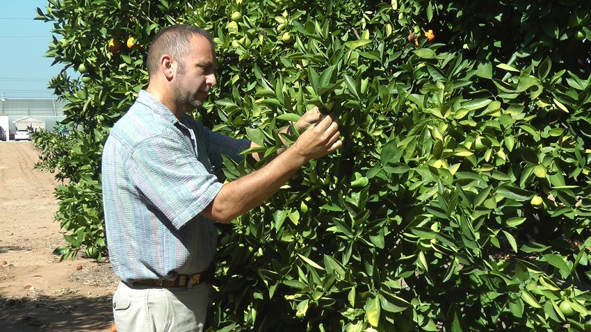 tree disease specialist