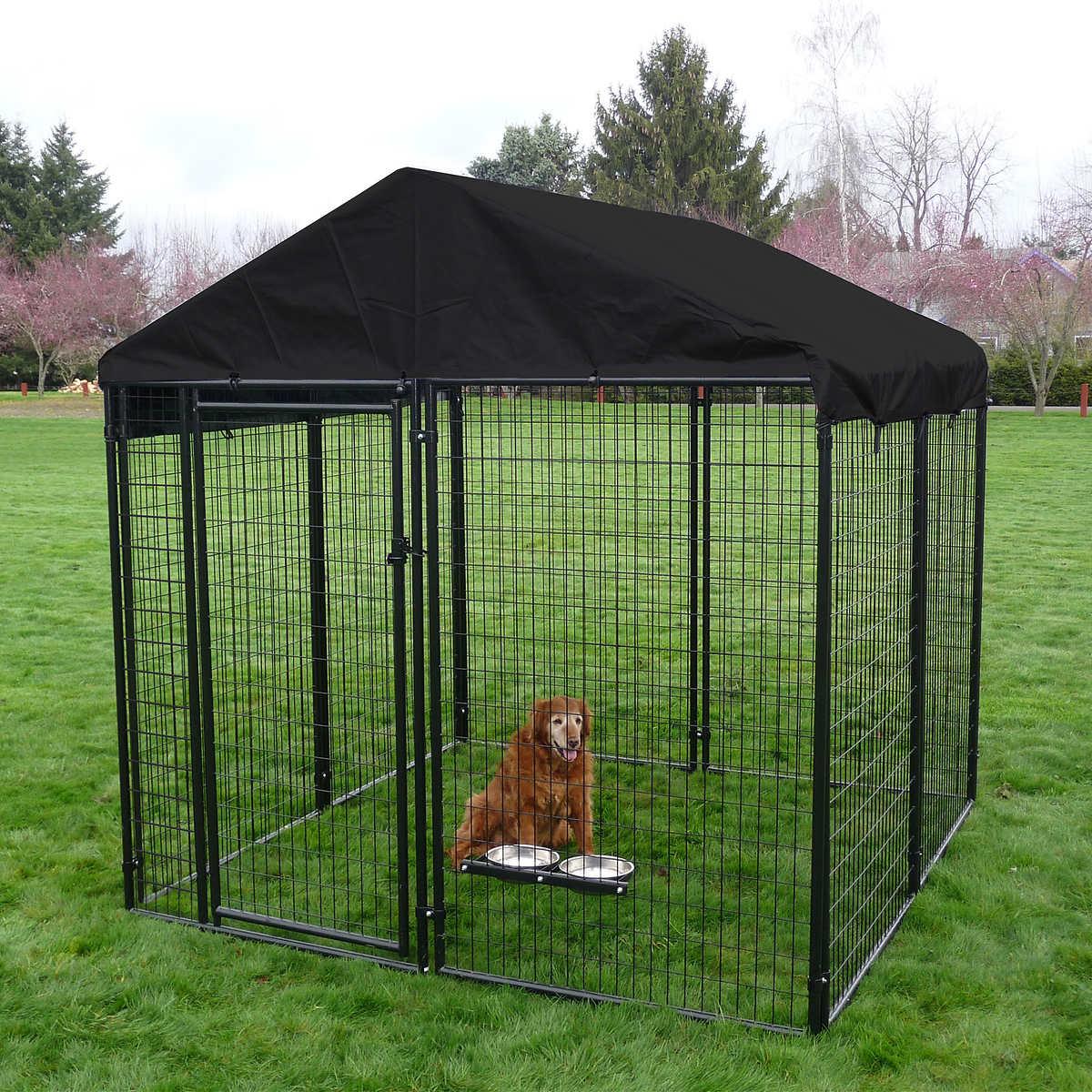 outdoor dog enclosures 1