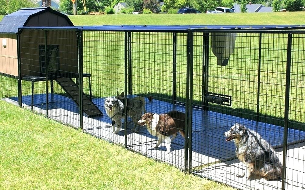 outdoor dog enclosures