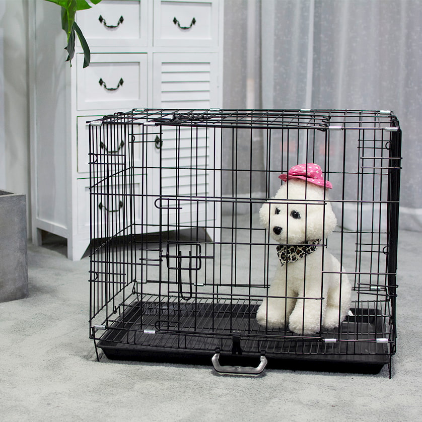 collapsible dog crate