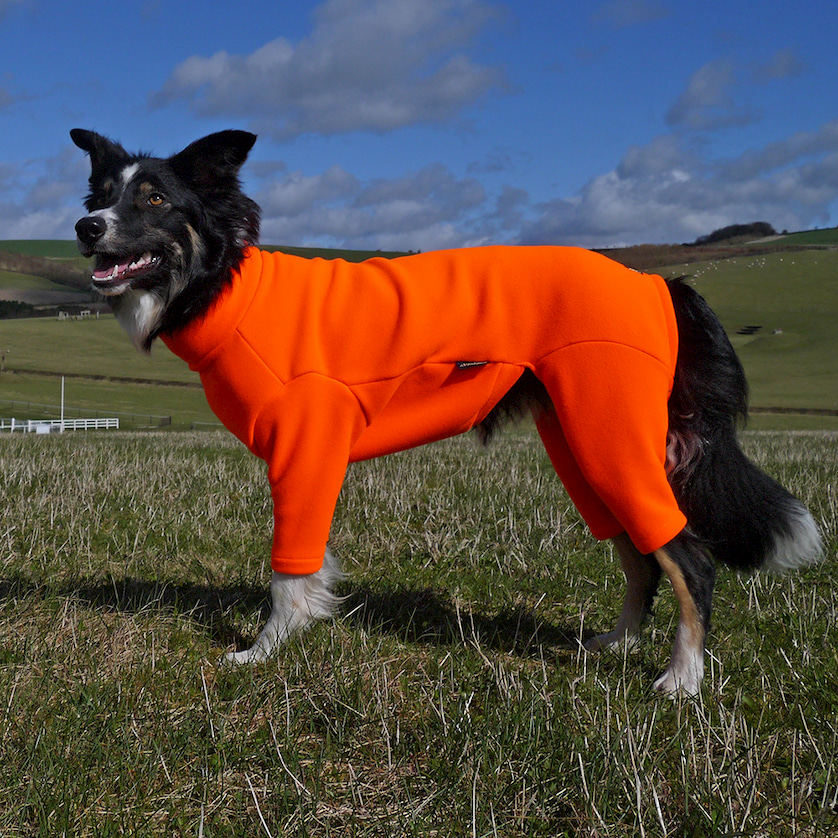 thermal dog suit