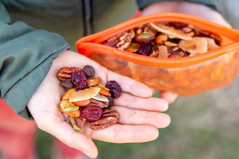 Dried and Fresh Fruit