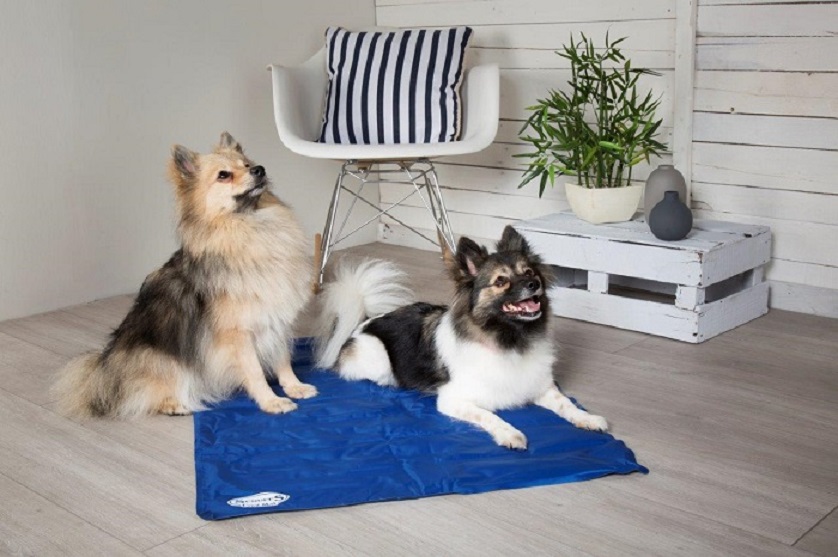 dogs-on-Cooling-Mat