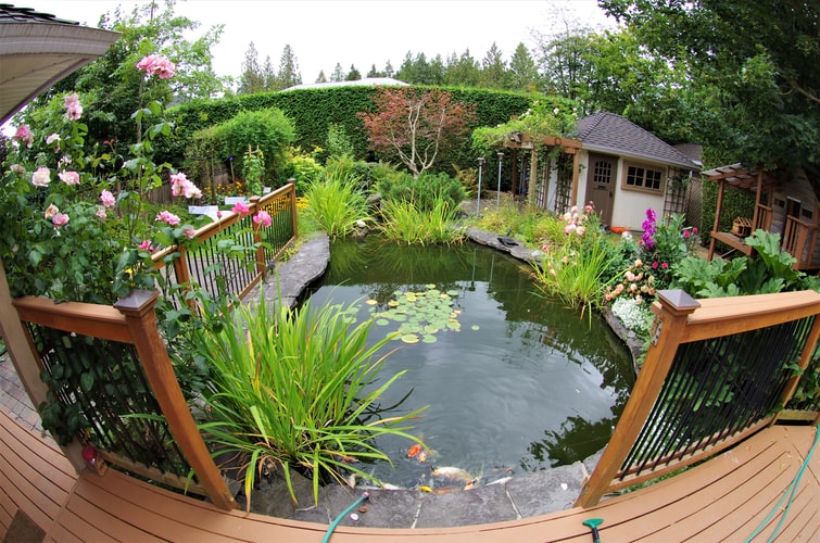 garden ponds