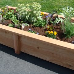 A Healthy Hollywood Trend: Let’s All Buy Some Garden Beds