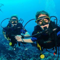Reach the Ocean’s Depths Safely with the Right Diving Gear