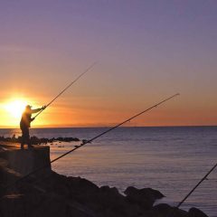 Funny Fishing Videos: Learn from Other People’s Mistakes