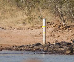 Preparing for 4WDing: Things to Have in Mind Before Taking to the Road