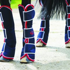 The Different Types of Horse Boots and Their Features