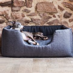 Give Your Dog the Personal Space It Needs – Get Its Own Bed