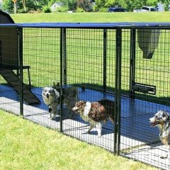 Tips on Using Outdoor Dog Enclosures & the Different Types