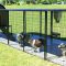 Tips on Using Outdoor Dog Enclosures & the Different Types