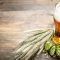 Craft Beer: A Whole New World of Aromas and Flavours