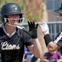 Safety First: Your Essential Baseball Safety Equipment