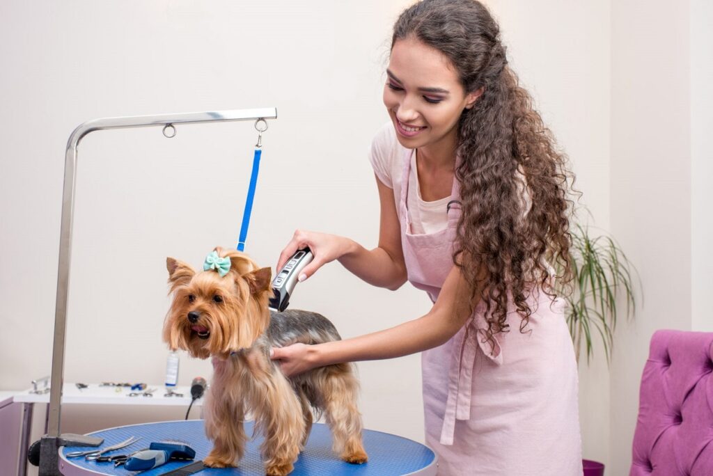 а woman grooms a dog in a dog salon
