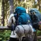 Sleeping in the Wilderness: Camping Essentials to Pack for Your Trip