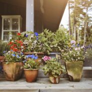 Elevate Your Outdoor Space: Stylish Upgrades for Your Backyard