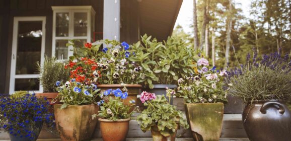 Elevate Your Outdoor Space: Stylish Upgrades for Your Backyard