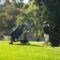 Enhancing Your Golf Game: The Whats and Hows of Motorised Buggies